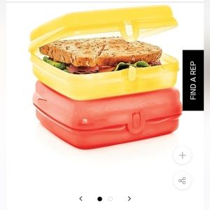 Tupperware sandwich NEW